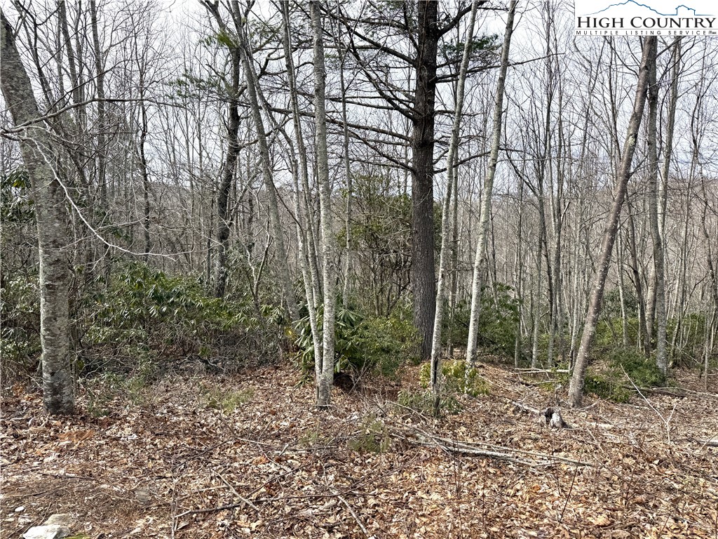 Boone, North Carolina 28607, United States, ,Land,Active,99095