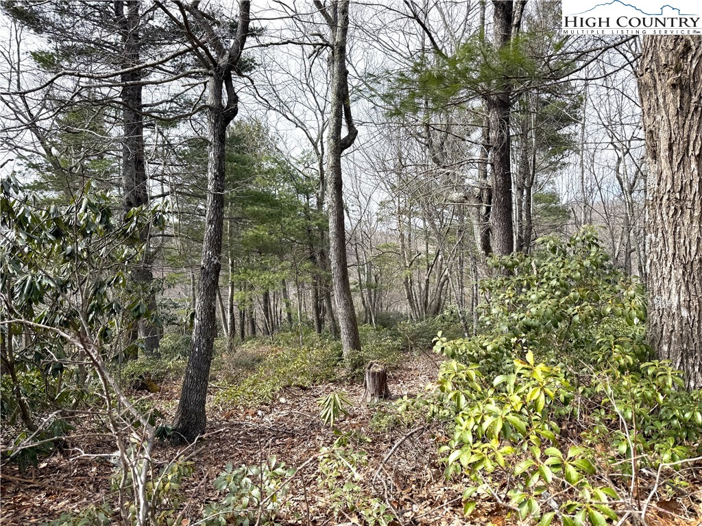 Boone, North Carolina 28607, United States, ,Land,Active,99095