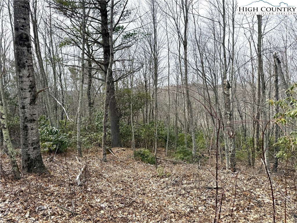 Boone, North Carolina 28607, United States, ,Land,Active,99095