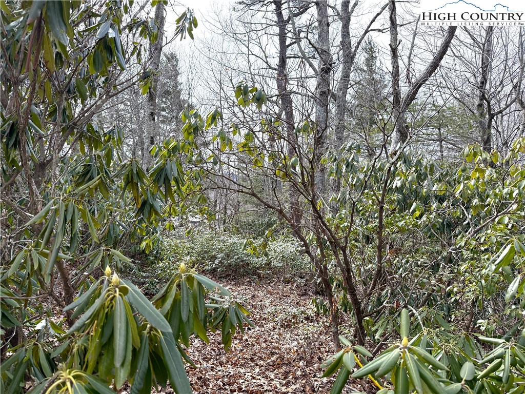 Boone, North Carolina 28607, United States, ,Land,Active,99095