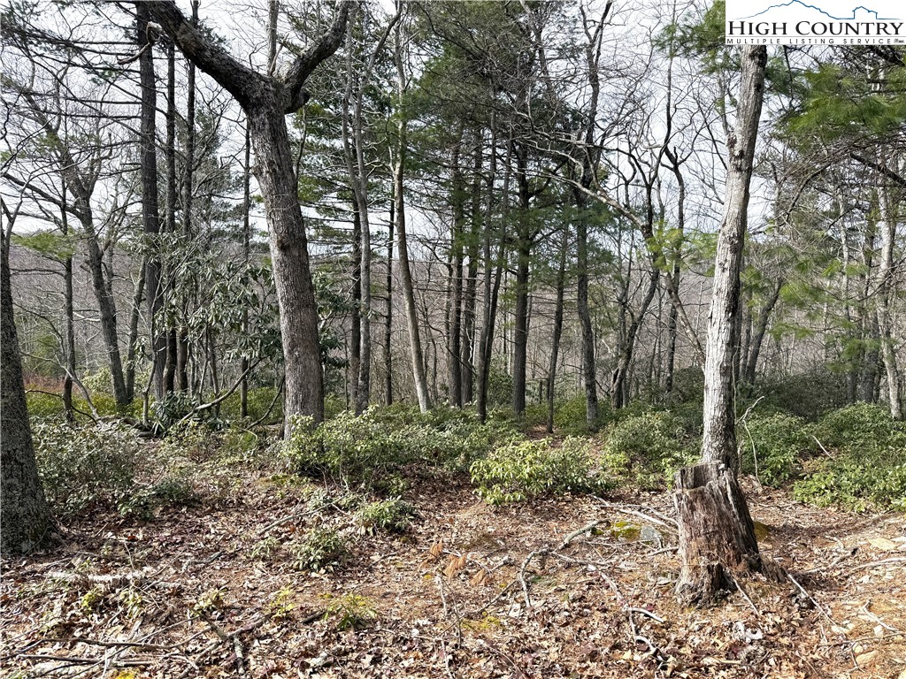 Boone, North Carolina 28607, United States, ,Land,Active,99095