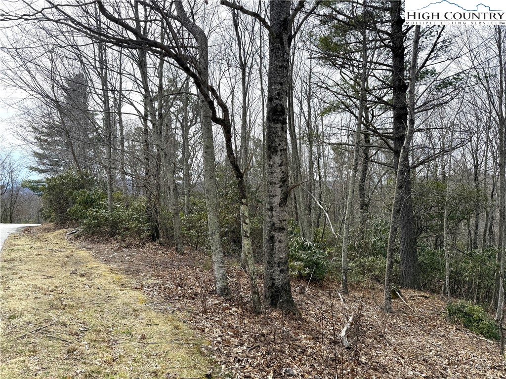 Boone, North Carolina 28607, United States, ,Land,Active,99095