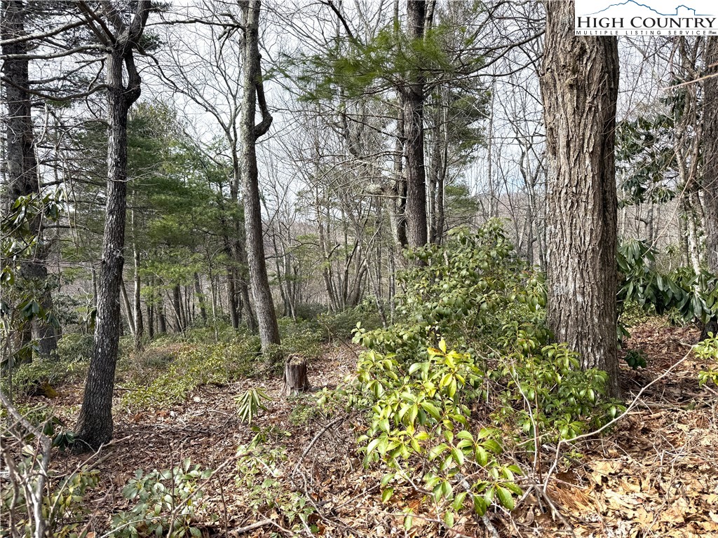 Boone, North Carolina 28607, United States, ,Land,Active,99095