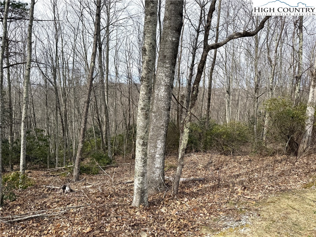 Boone, North Carolina 28607, United States, ,Land,Active,99095