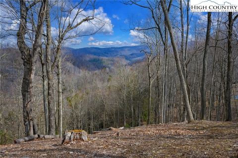 Photo of TBD Raspberry Lane, Elk Park, NC 28622 (MLS # 260197)