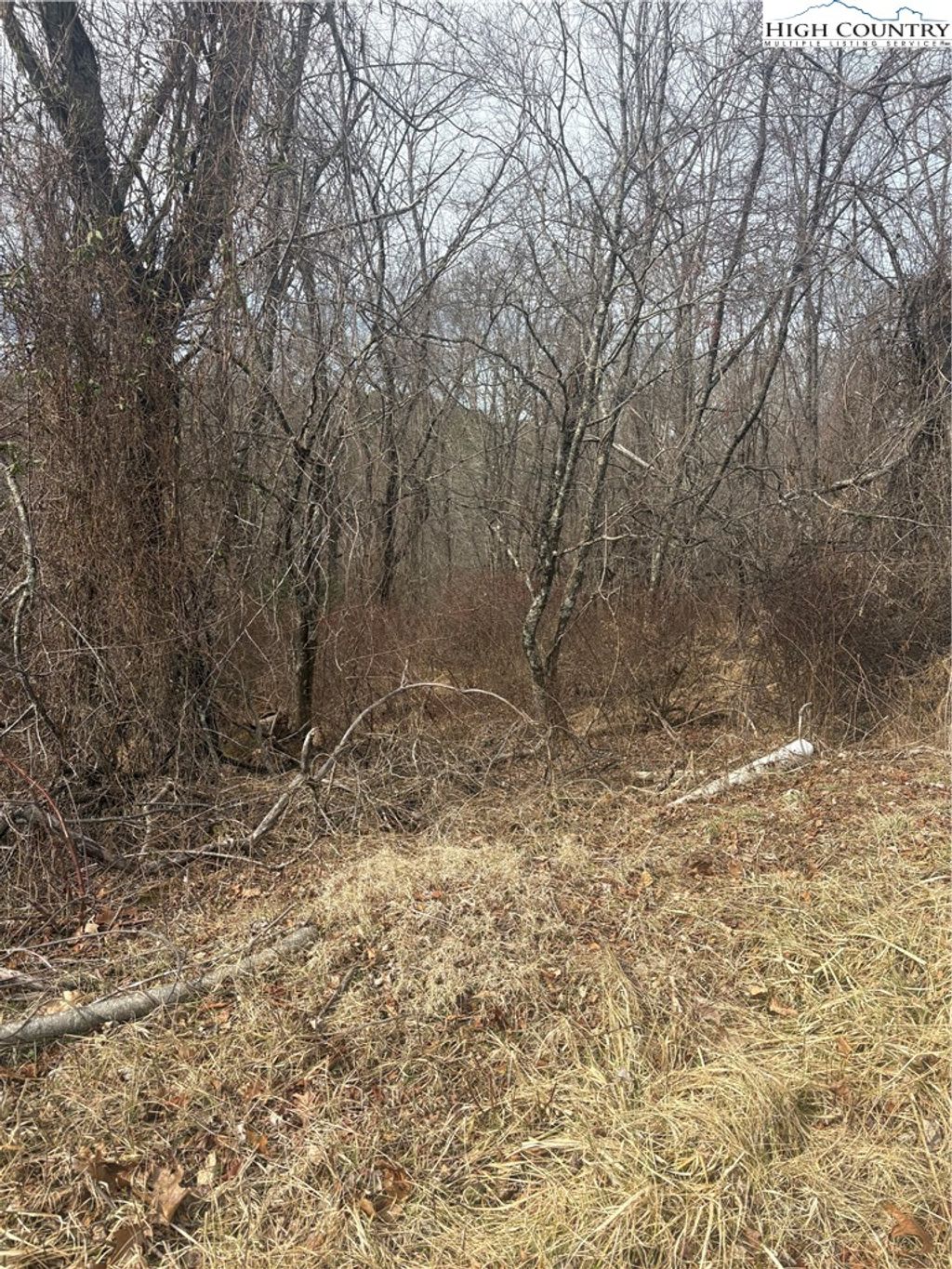 Photo of TBD 4-K River Run Lane, Sparta, NC 28675 (MLS # 260017)