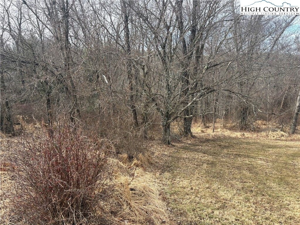 Photo of TBD 4-K River Run Lane, Sparta, NC 28675 (MLS # 260017)