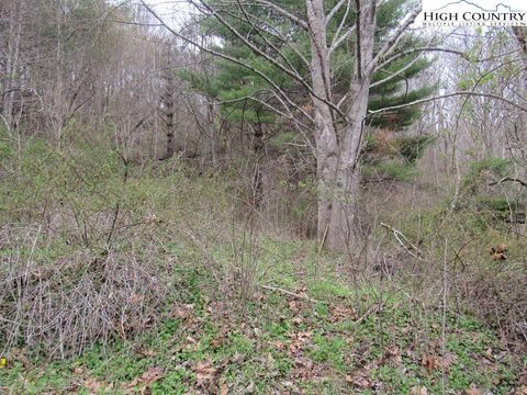 Photo of TBD NC Hwy 88 W, Creston, NC 28615 (MLS # 260981)