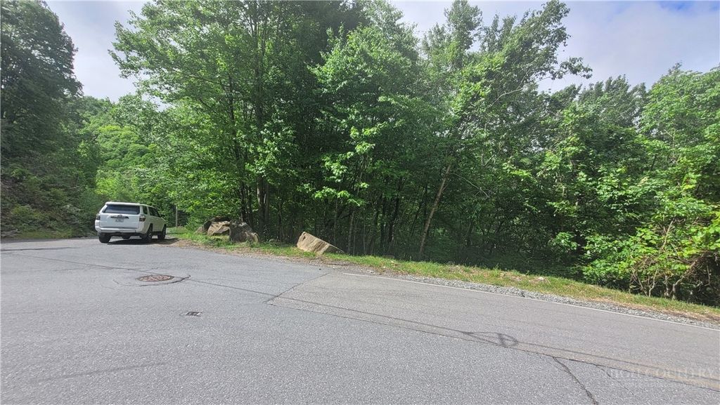 Photo of 425 Pinnacle Ridge Road, Beech Mountain, NC 28604 (MLS # 262132)