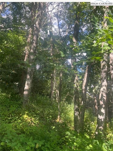 Photo of Tbd Ayers Mountain E, Banner Elk, NC 28604 (MLS # 258114)