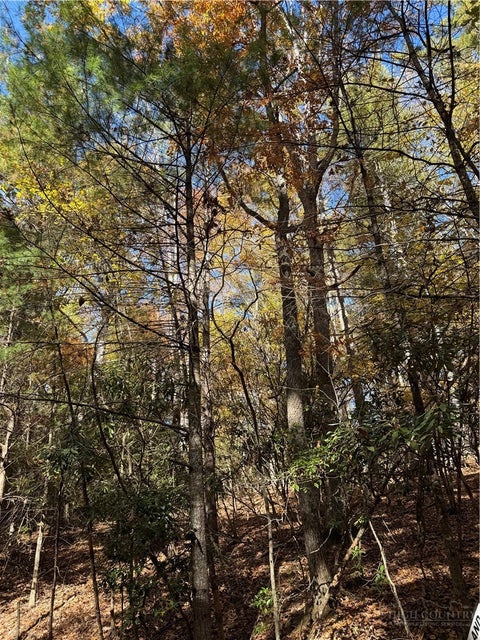 Photo of TBD W Seventy Sixth Drive, West Jefferson, NC 28694 (MLS # 265139)