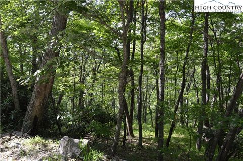 Vacant Land For Sale - TBD Rocky Mountain Road<br/> Sparta, NC 28675