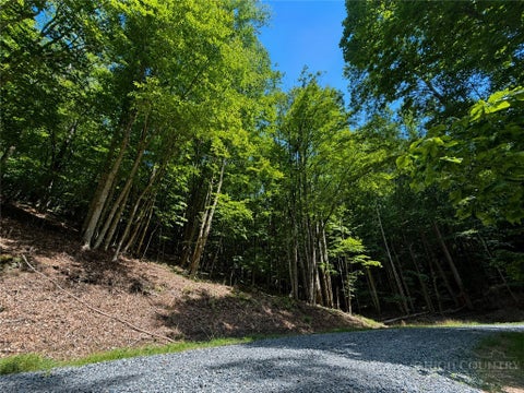 Photo of 146 Sassafrass Road, Beech Mountain, NC 28604 (MLS # 263340)