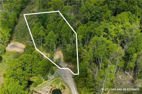 Photo of Lot 44 W Silver Springs Drive, Banner Elk, NC 28604 (MLS # 262207)