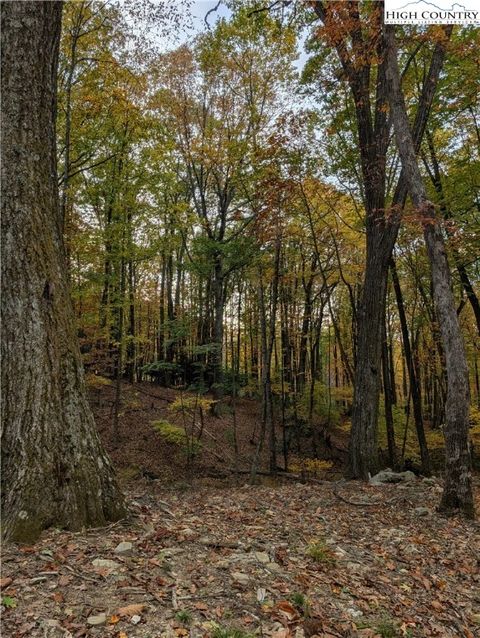 Photo of TBD Rocky Mountain Road, Sparta, NC 28627 (MLS # 258683)