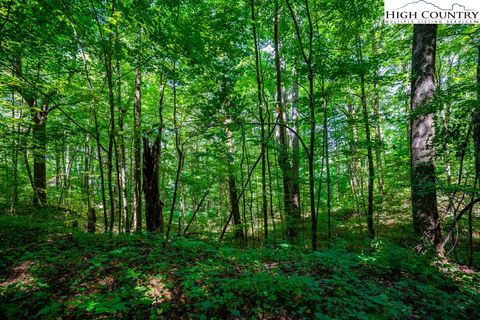 Photo of Lot 29 Marta Lane, Zionville, NC 28698 (MLS # 253130)