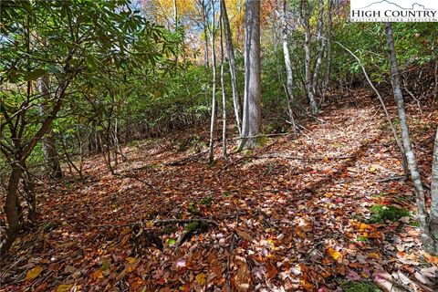 Photo of 244 Poplar Drive, Beech Mountain, NC 28604 (MLS # 258769) Photo of 244 Poplar Drive, Beech Mountain, NC 28604 (MLS # 258769)