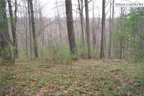 Homes For Sale - LOT 69 Laurel Mountain Drive<br/> Sparta, NC 28675