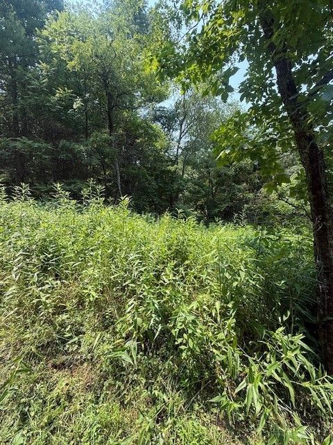 Photo of TBD Starlite Drive, Crumpler, NC 28617 (MLS # 263477)