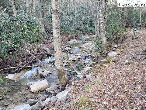 Photo of TBD HONEYSUCKLE Lane, Beech Mountain, NC 28607 (MLS # 254057)