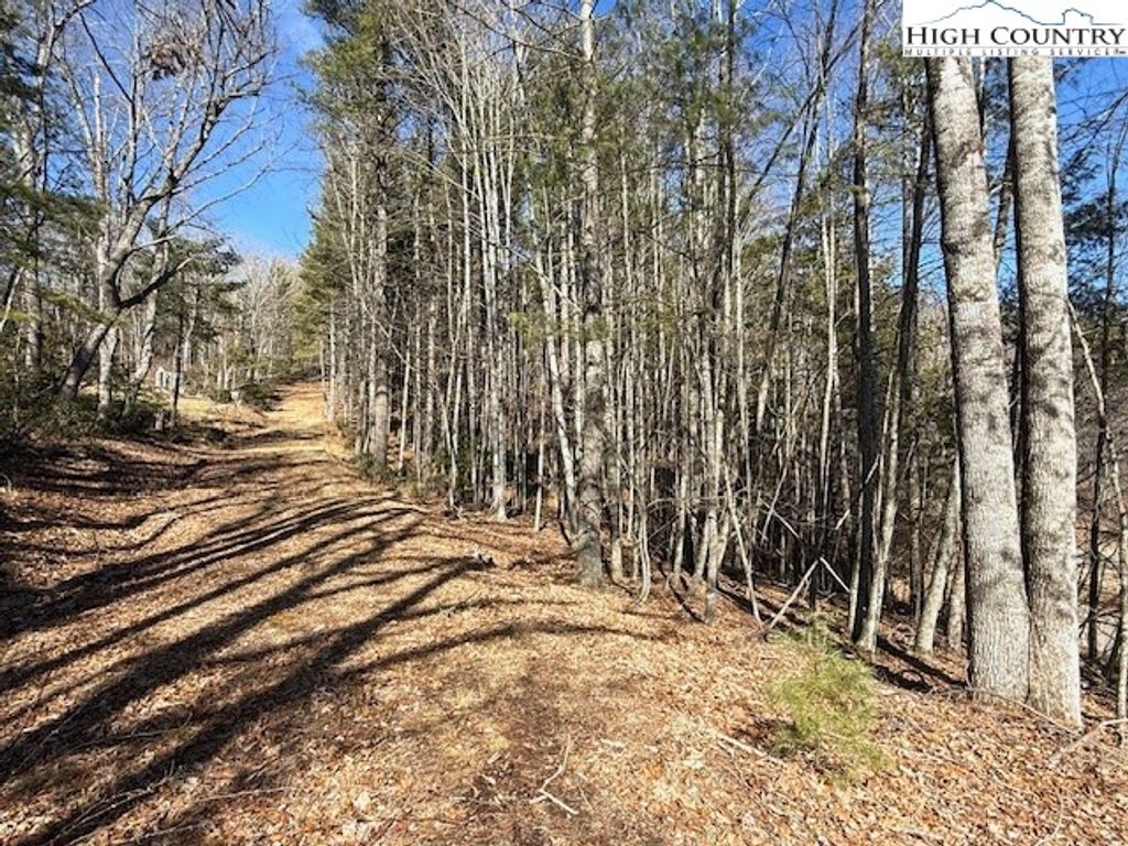 Photo of TBD Big Flatts Church Road, Fleetwood, NC 28626 (MLS # 259803)