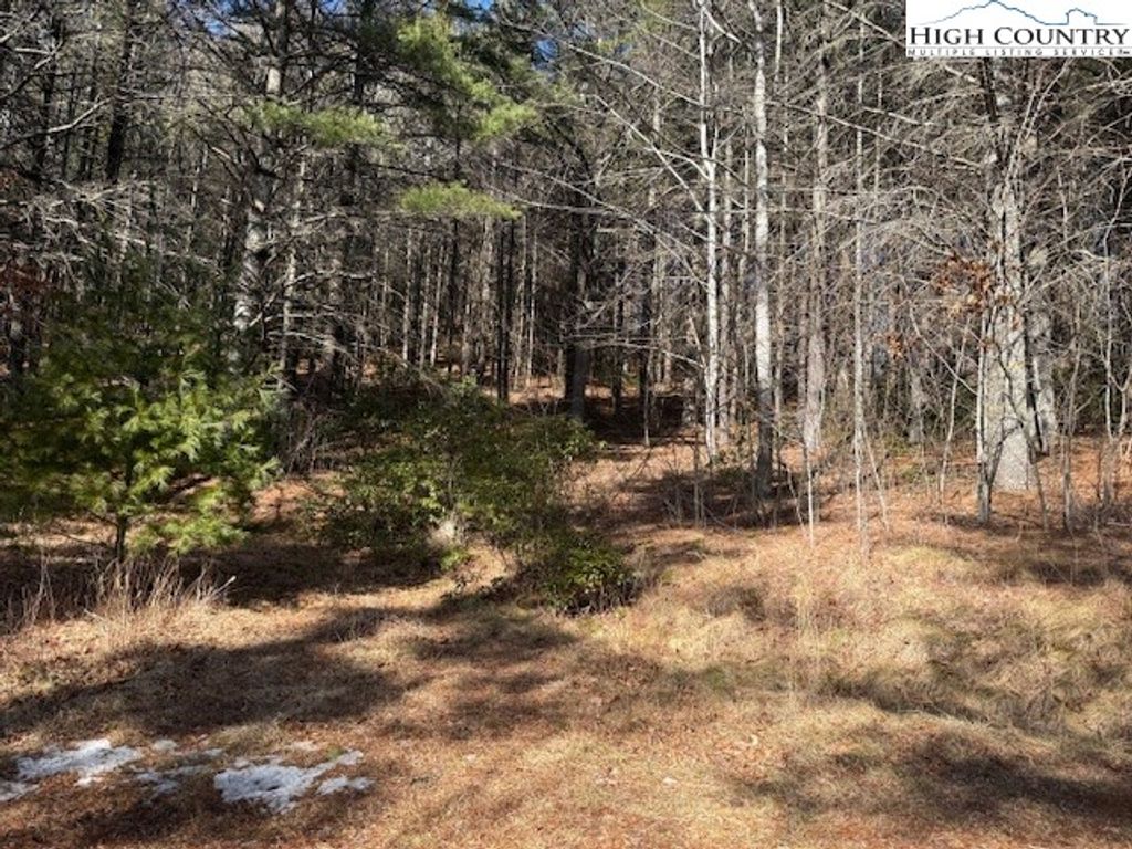 Photo of TBD Big Flatts Church Road, Fleetwood, NC 28626 (MLS # 259803)