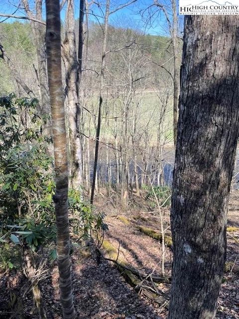 Photo of TBD Spruce Lane, Crumpler, NC 28617 (MLS # 257208) Photo of TBD Spruce Lane, Crumpler, NC 28617 (MLS # 257208)