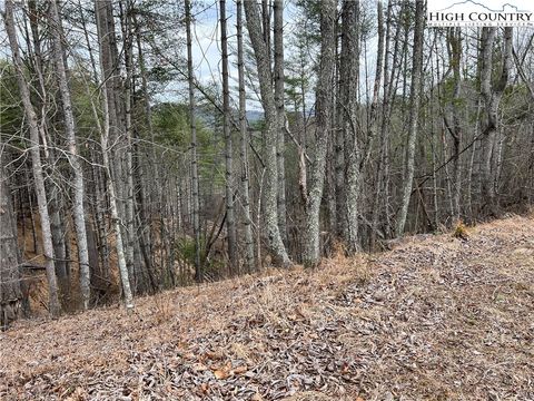 Vacant Land For Sale - NO # Edna Perry Road<br/> Crumpler, NC 28617
