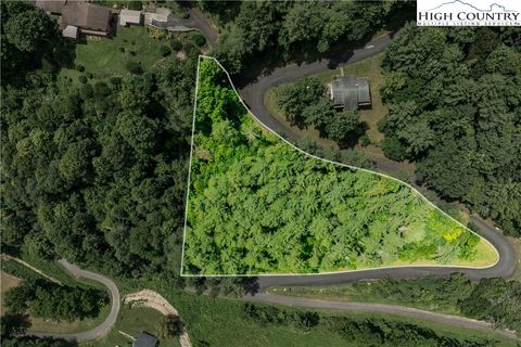 Vacant Land For Sale - LOT 1 Lake Ridge Ct<br/> Johnson County, Butler, TN 37640