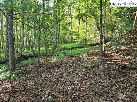 Photo of 0 E Brocktown, Moravian Falls, NC 28654 (MLS # 258428)