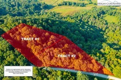 Photo of TBD Omega Way, Sparta, NC 28675 (MLS # 251767)