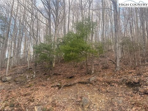 Photo of 212 Jackpine Road, Beech Mountain, NC 28604 (MLS # 260698)