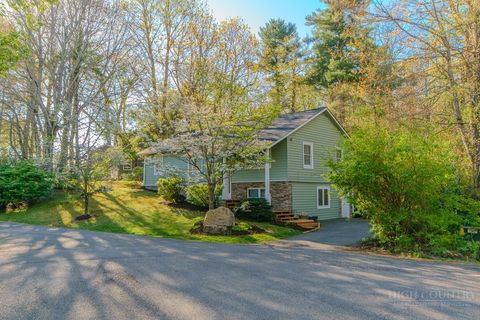 Photo of 133 Rachel Court, Boone, NC 28607 (MLS # 261429)