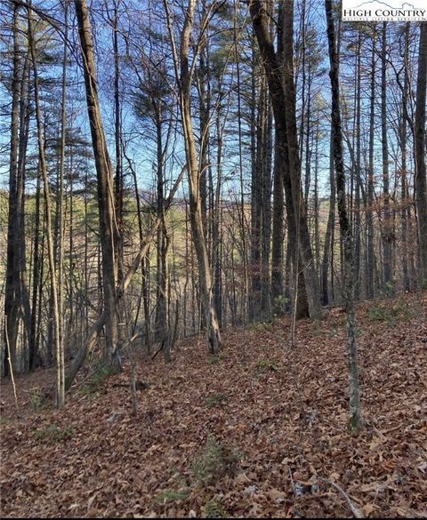Photo of Lots 1 & 2 Toe River Lane, Newland, NC 28657 (MLS # 257425) Photo of Lots 1 & 2 Toe River Lane, Newland, NC 28657 (MLS # 257425)