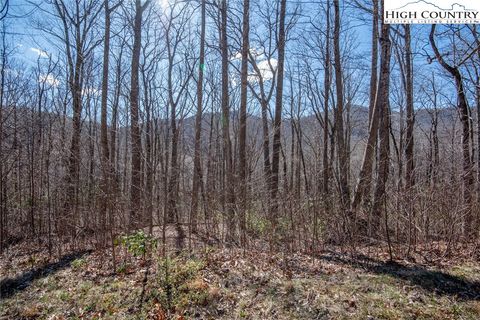 Photo of #23 D and D Ridge Road, Todd, NC 28684 (MLS # 249150)