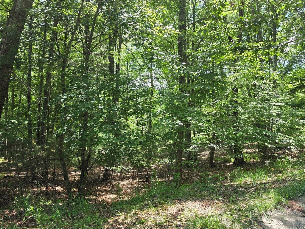 Lot 51 Toms Knob Road 1  51
