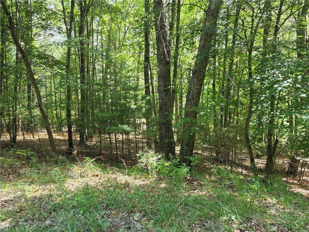 Lot 51 Toms Knob Road 1  51