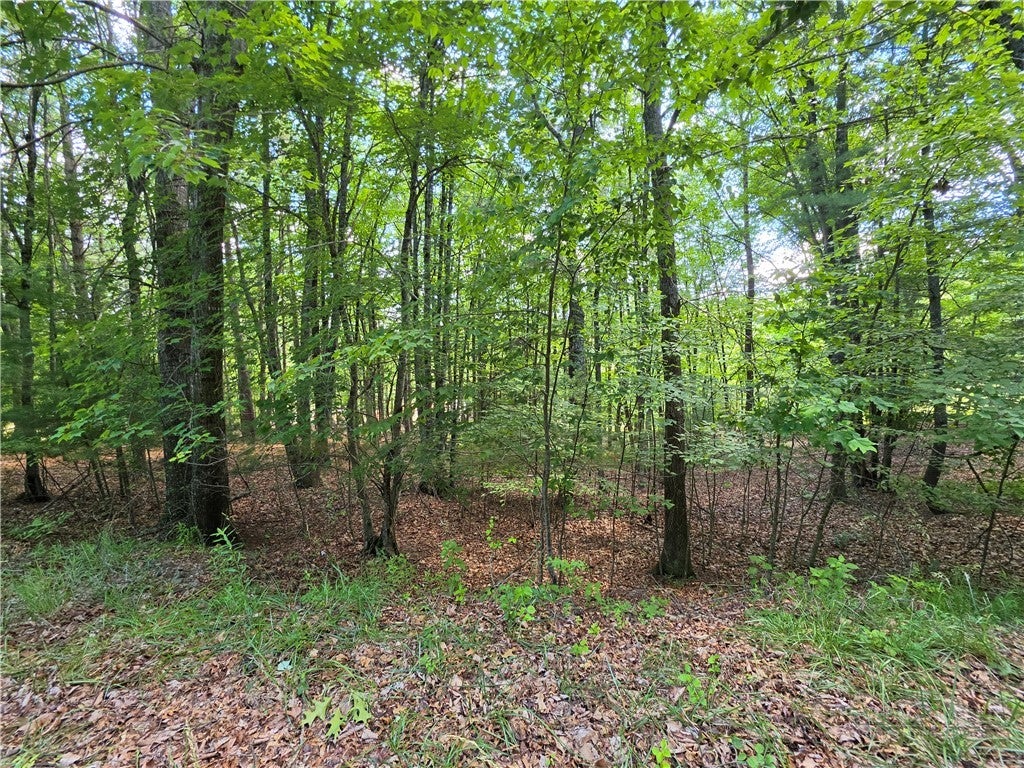 Lot 51 Toms Knob Road 1  51