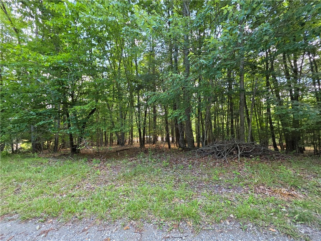 Lot 51 Toms Knob Road 1  51