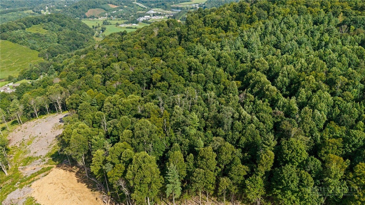 24 acres Sarah Court Lane