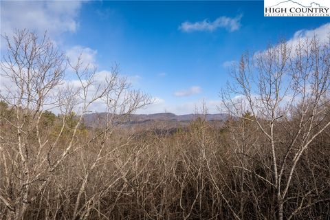 Photo of 180 Marigold Road, Boone, NC 28607 (MLS # 259485)