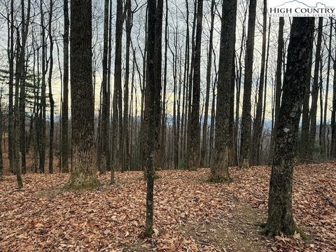 Photo of TBD Jobs Road, Laurel Springs, NC 28644 (MLS # 259277)