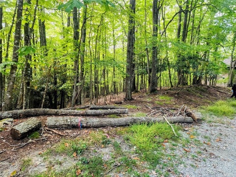 Photo of 103 Spicewood Lane, Beech Mountain, NC 28604 (MLS # 264671)