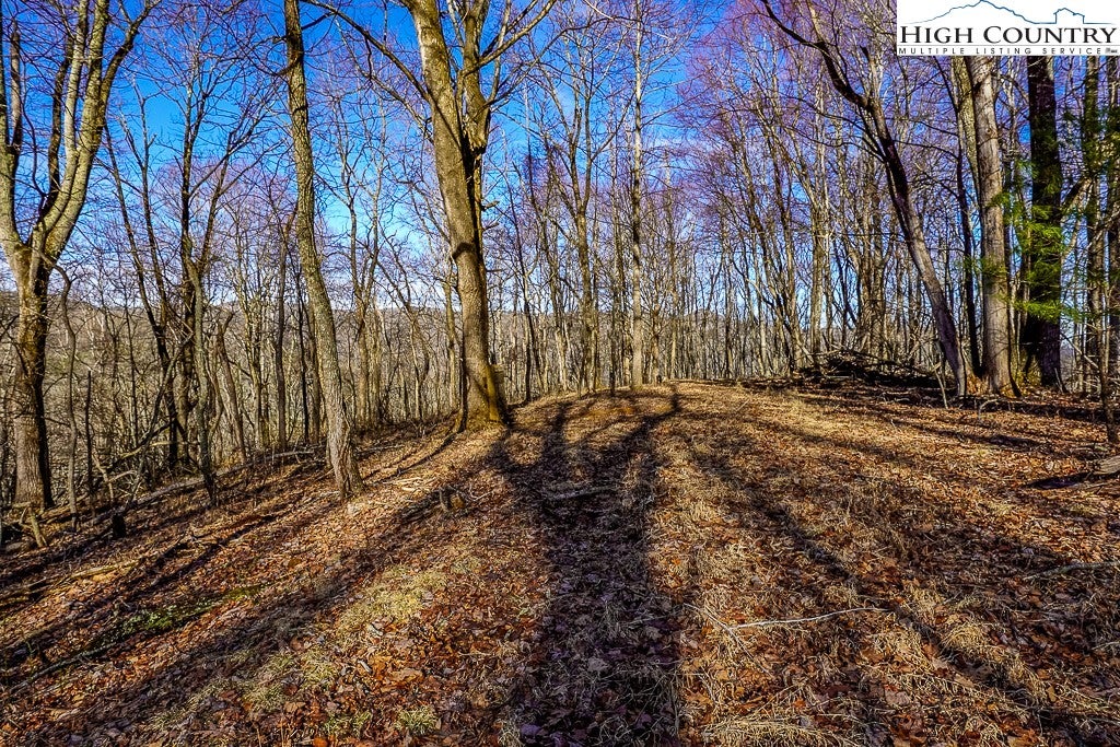 Photo of TBD Little Tree Lane, Banner Elk, NC 28604 (MLS # 260485)