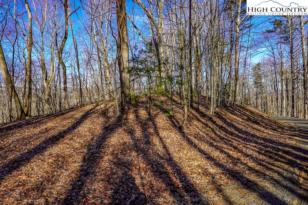 Photo of TBD Little Tree Lane, Banner Elk, NC 28604 (MLS # 260485)