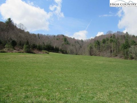 Photo of TBD Big Laurel Road, Creston, NC 28615 (MLS # 258617) Photo of TBD Big Laurel Road, Creston, NC 28615 (MLS # 258617)
