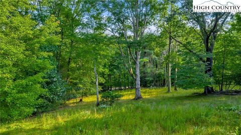 Photo of TBD NC Hwy 88 E, Laurel Springs, NC 28644 (MLS # 257505)