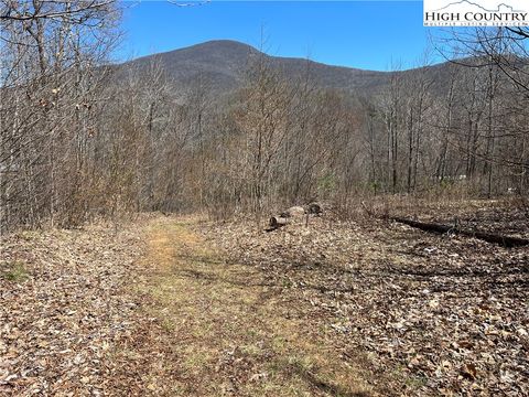 Photo of TBD Diamond Ridge Road, Boone, NC 28607 (MLS # 242961)