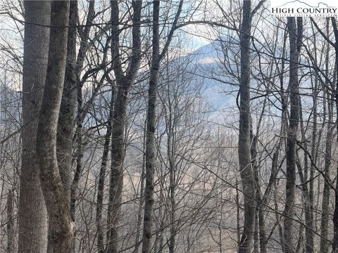 Photo of TBD Lot 17 Carefree Cove Road, Zionville, NC 28698 (MLS # 260977)