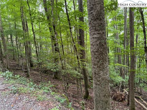 Photo of 119 Raccoon Road, Beech Mountain, NC 28604 (MLS # 259468)